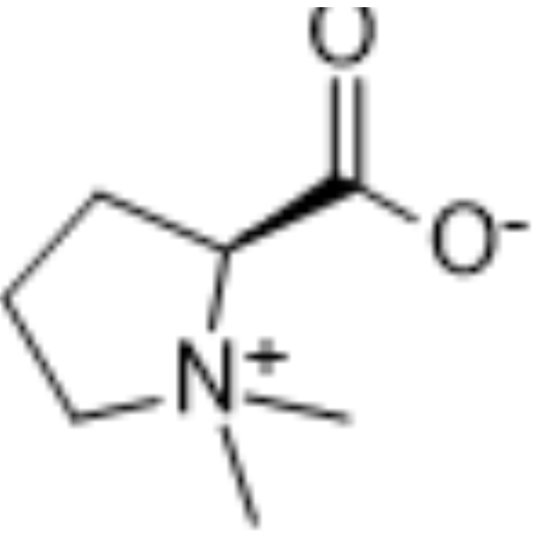 Stachydrine 471-87-4